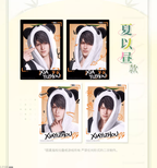 Bamboo Whispers Series: Polaroid Set